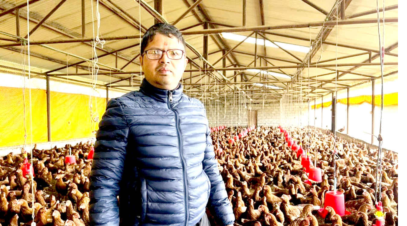 कुखुरा पालेर मासिक एक लाख पचास हजार बचत