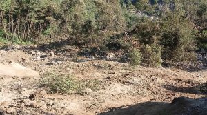 सुख्खायाममा समेत पहिरो खस्न नरोकिएपछि गाउँ नै जोखिममा