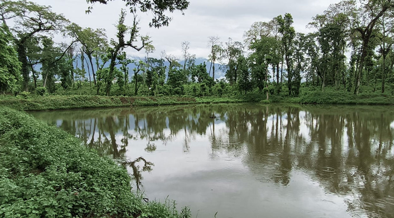 सामुदायिक वनभित्र कृत्रिम पोखरी निर्माण
