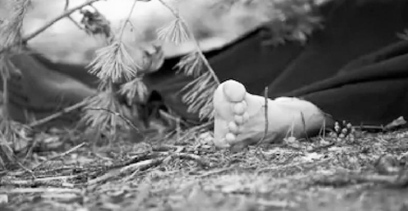 गल्याङमा रुखबाट लडेर एक महिलाको मृत्यु