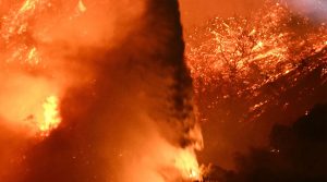 झापाका दुई उद्योगमा आगलागी