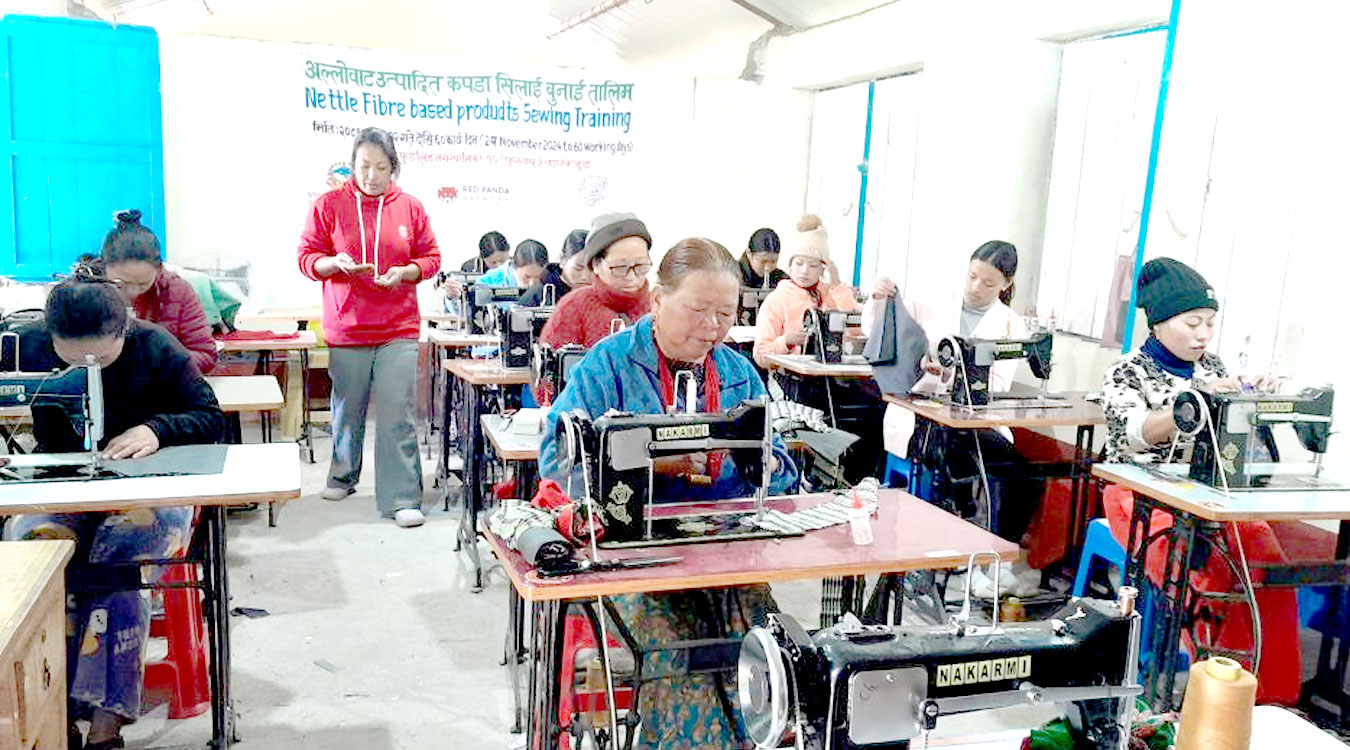 अल्लोको कपडाबाट आकर्षक सामग्री
