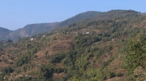नगरपालिकाको चार टोलमा आयातित पेयपदार्थमा प्रतिबन्ध