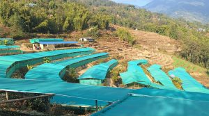 मझुवागढीमा ‘कृषकसँग उपप्रमुख कार्यक्रम’ सुरु