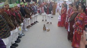 पचासको दशकसम्म लोकप्रिय धाननाच पछिल्लो समय लोप हुने अवस्थामा