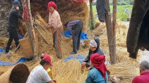 सामूहिक खेतीतर्फ किसान आकर्षित