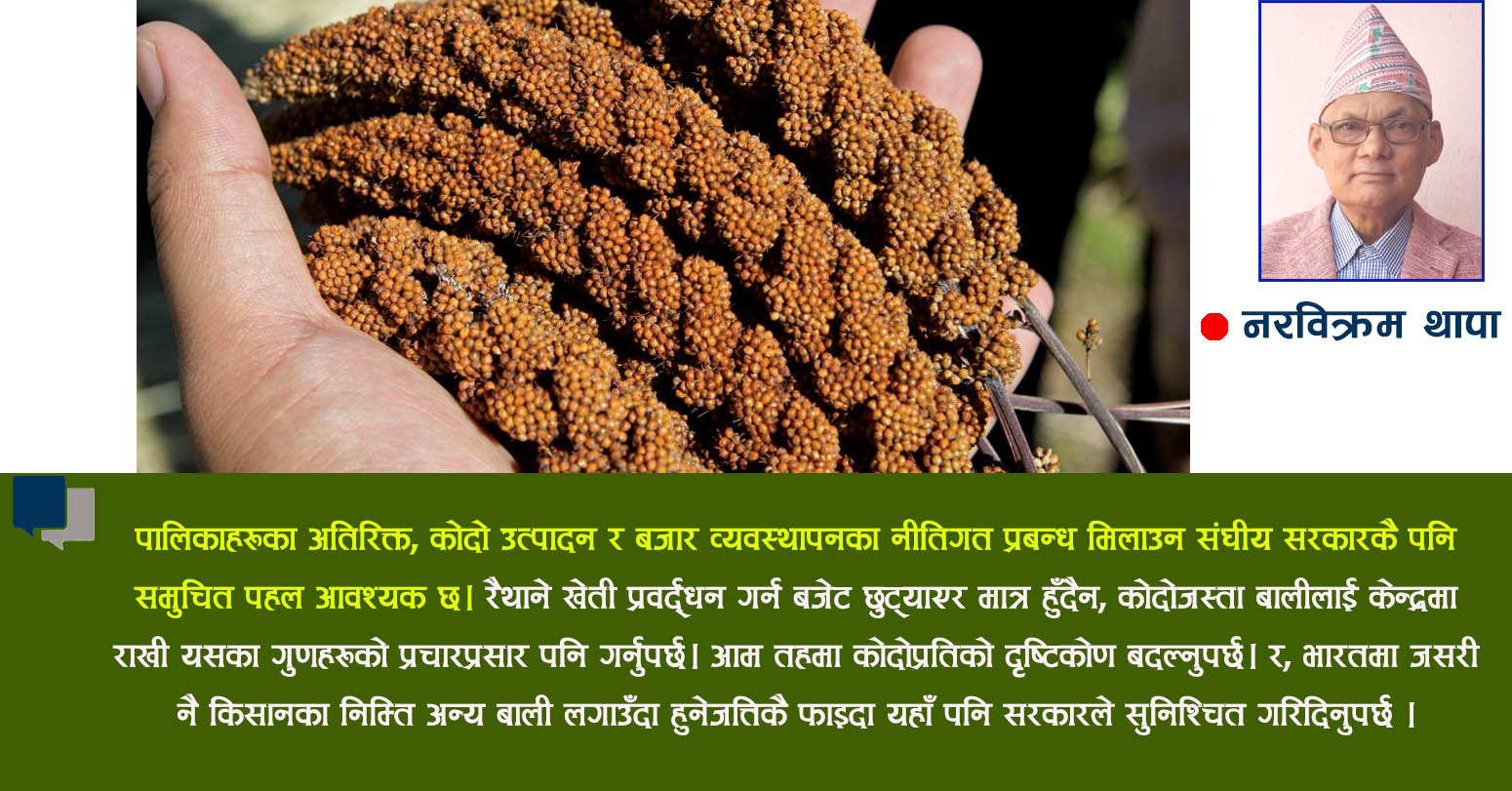 गरौ कोदो खाने बानी खनिज तत्वको खानी !