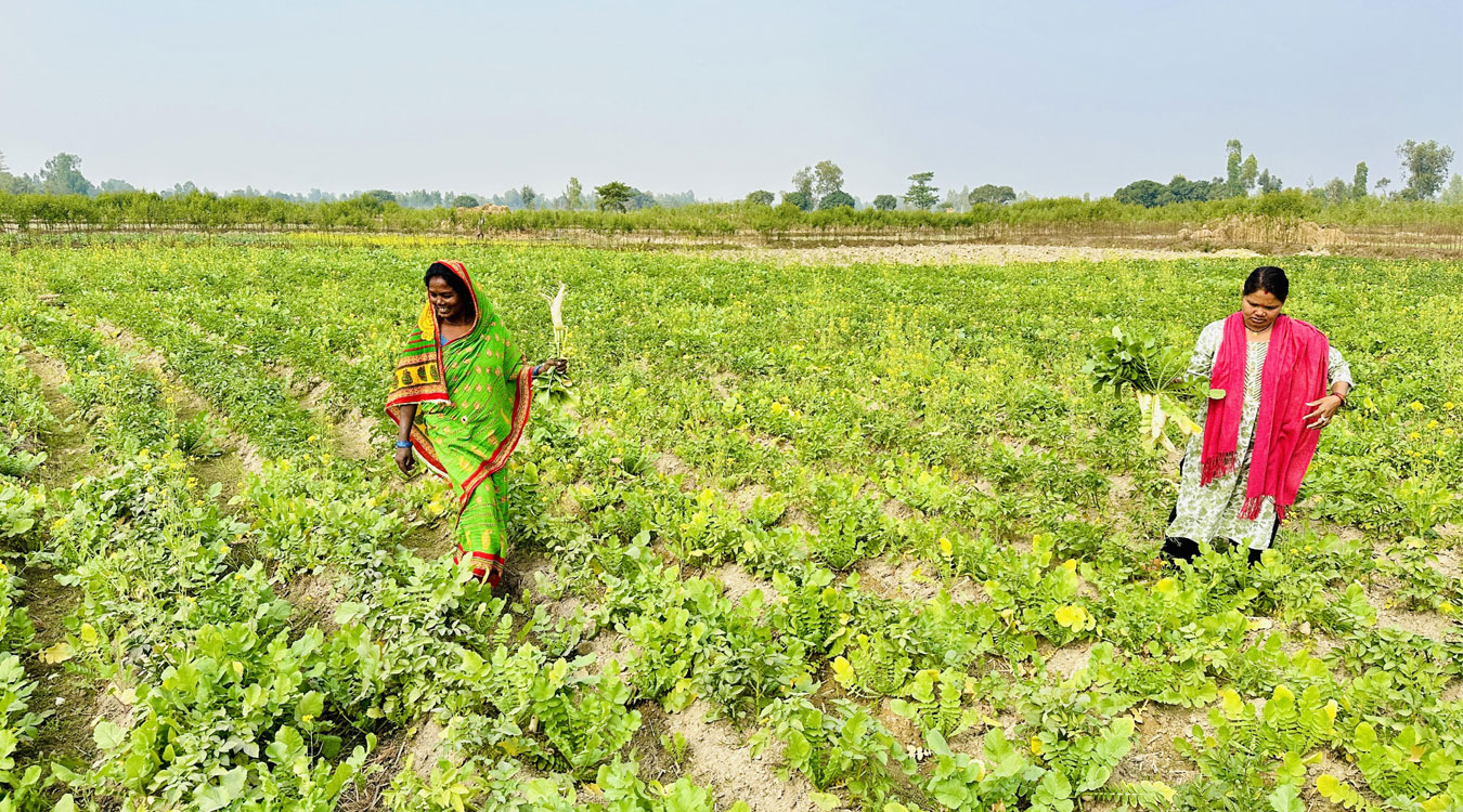 सामूहिक खेती गरी आत्मनिर्भर बन्दै सिसवोनीका दलित महिला