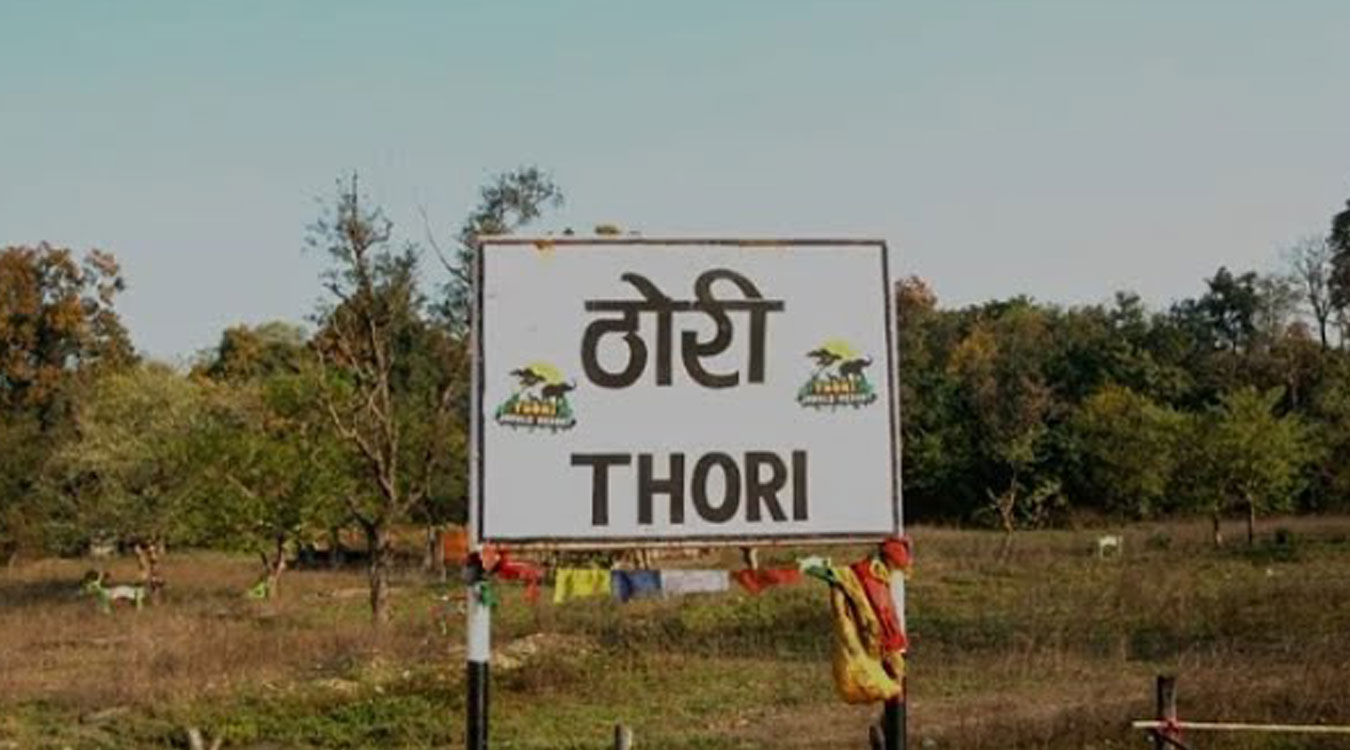भारतीय पर्यटकले ठोरी खचाखच