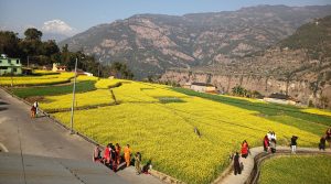 तोरी बारीमा टिकटिक बनाउने भीड