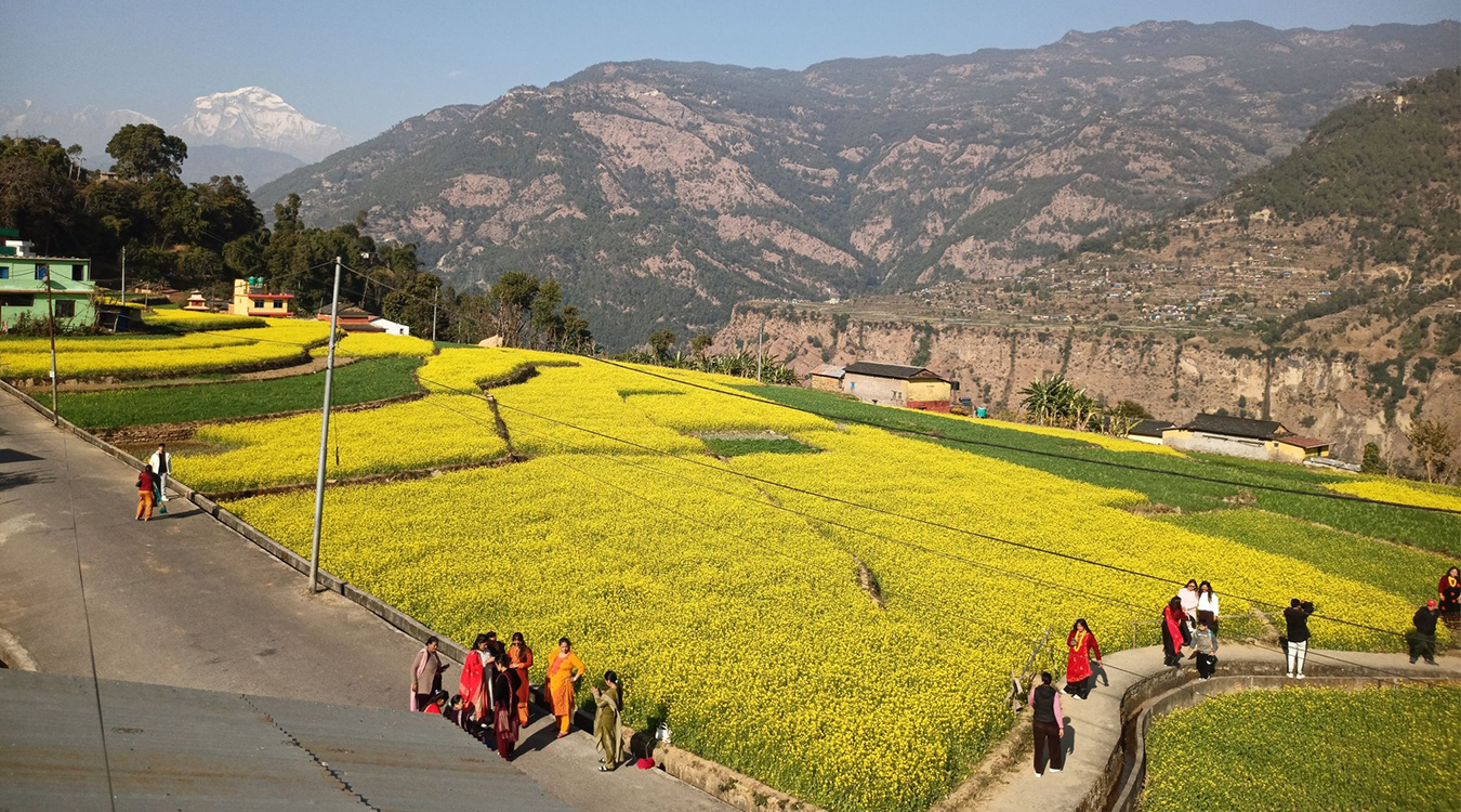 तोरी बारीमा टिकटिक बनाउने भीड