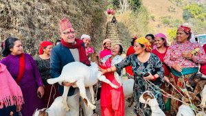 महिलालाई उत्पादनमा जोड्न बाख्रा वितरण