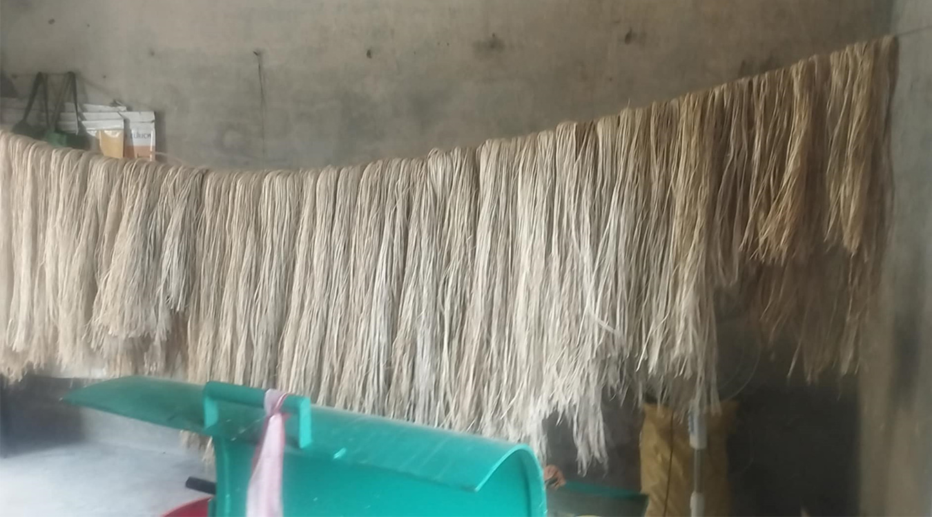 केराको रेशाबाट उत्पादित हाते सामग्रीको खपत बढ्दै