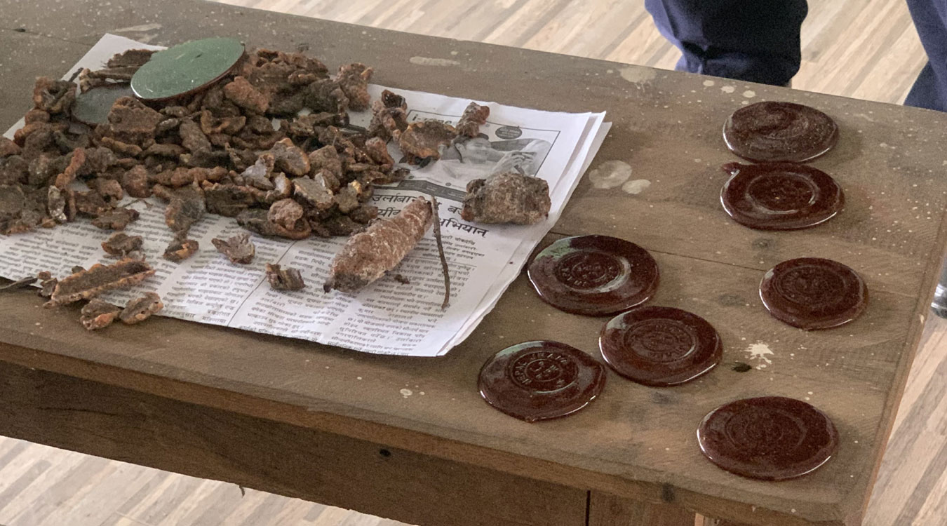 लाहाखेतीबाट मनग्य आम्दानी गर्दै विश्वकर्मा
