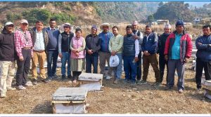 पहिलो पटक नेपालमा मौरी घारमा देखियो ‘ट्रोपिलाप्सिस माइट’