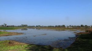 चरा अवलोकन गर्नेको गन्तव्यका रुपमा विकसित हुँदै पुरैनी ताल