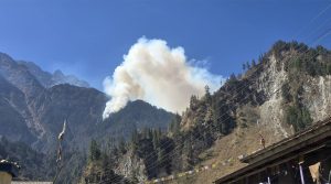 तिमाङको जङ्गलमा शुक्रबारदेखि लागेको आगो अझै निभाउन सकिएन