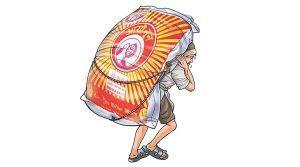 आयोडिनको मात्रा तत्काल नियन्त्रण गर्न सांसदको माग