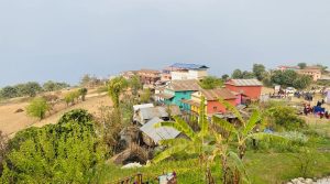 होमस्टेले हौसिए फोक्सिङ्गकोटवासी