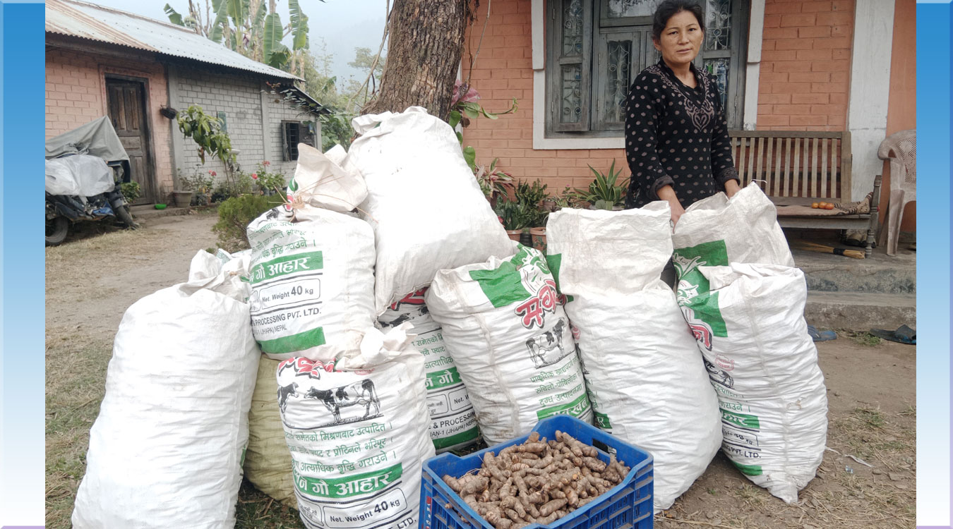 ‘बाँझो खेतमा यसपाली : बाँदरले असर नपार्ने नगदेबाली’