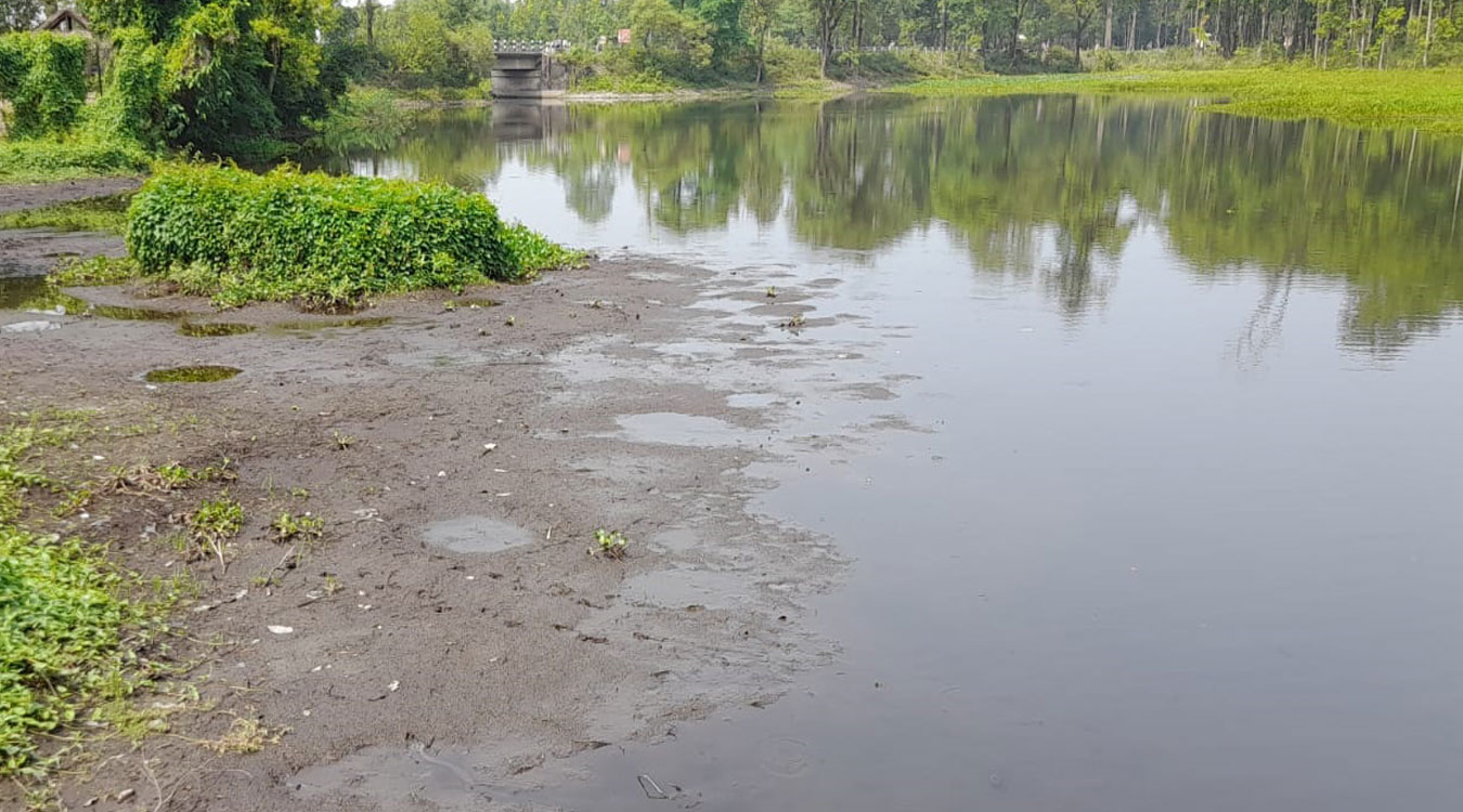 सिमसार क्षेत्रको अतिक्रमणले जोखिममा कछुवा