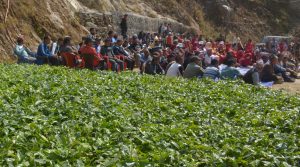किसानलाई कफी उत्पादन प्रविधि तालिम