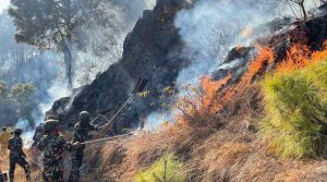 डढेलोले पाल्पाको चार सामुदायिक वनमा क्षति