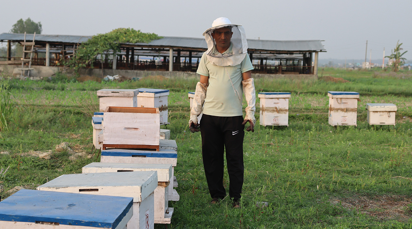 पशुपालनसँगै मौरीपालनबाट लाखौं आम्दानी गर्दै किसान मनराज