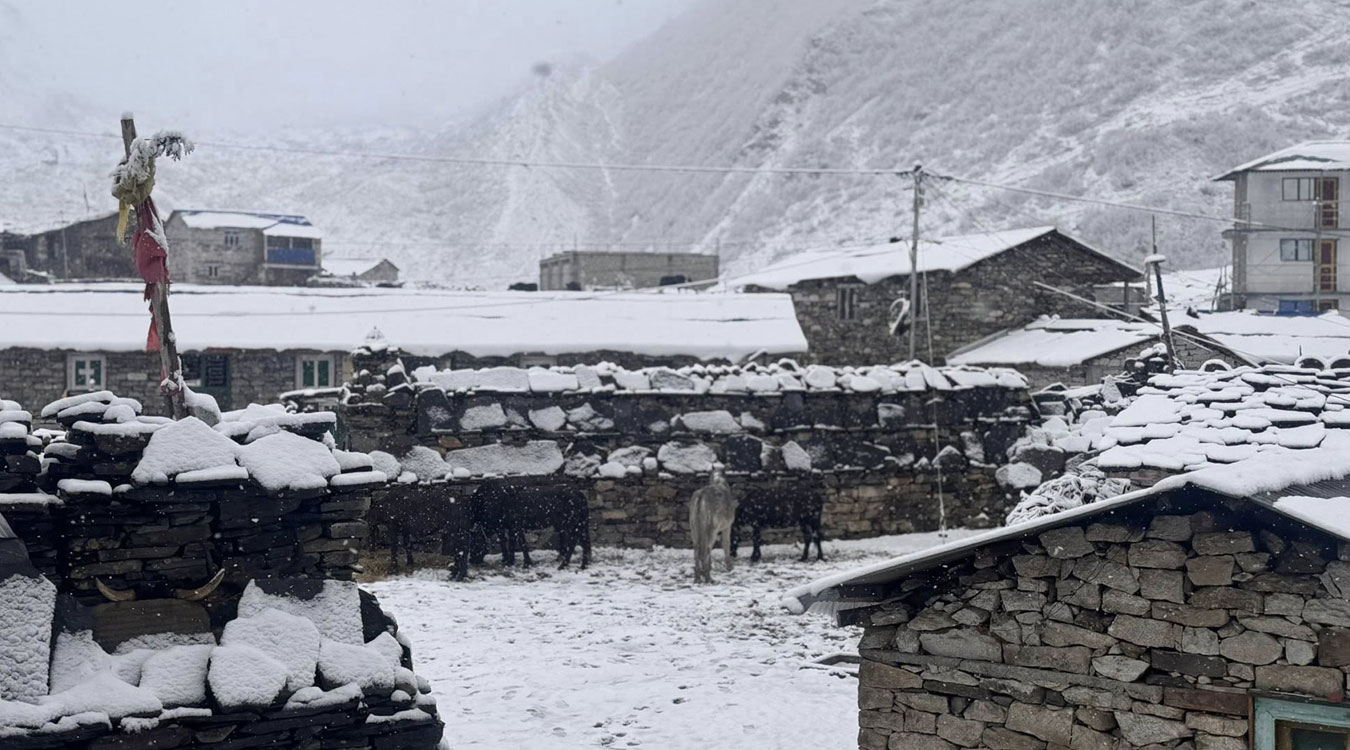 उत्तरी गोरखाको साम्दो क्षेत्रमा भारी हिमपात, जनजीवन प्रभावित