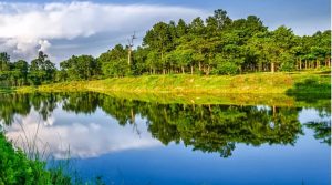 सिमसार क्षेत्र पर्यटकका लागि आकर्षक गन्तव्य