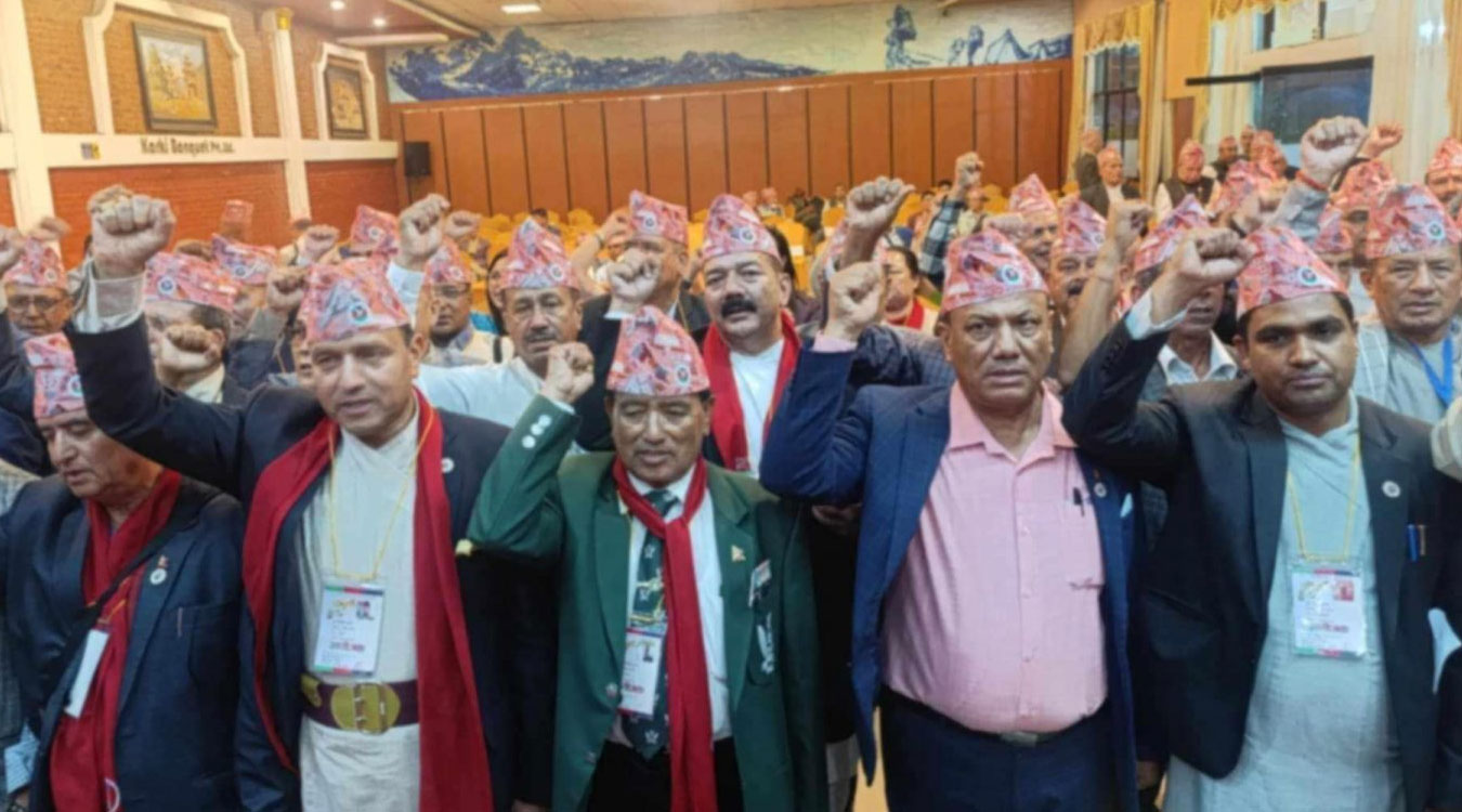 नेपोनको अध्यक्षमा पाण्डे