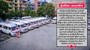 ईभीमा लगानी : व्यवसायी भन्छन्, ‘बैंकको किस्ता तिर्न कुनै समस्या छैन’