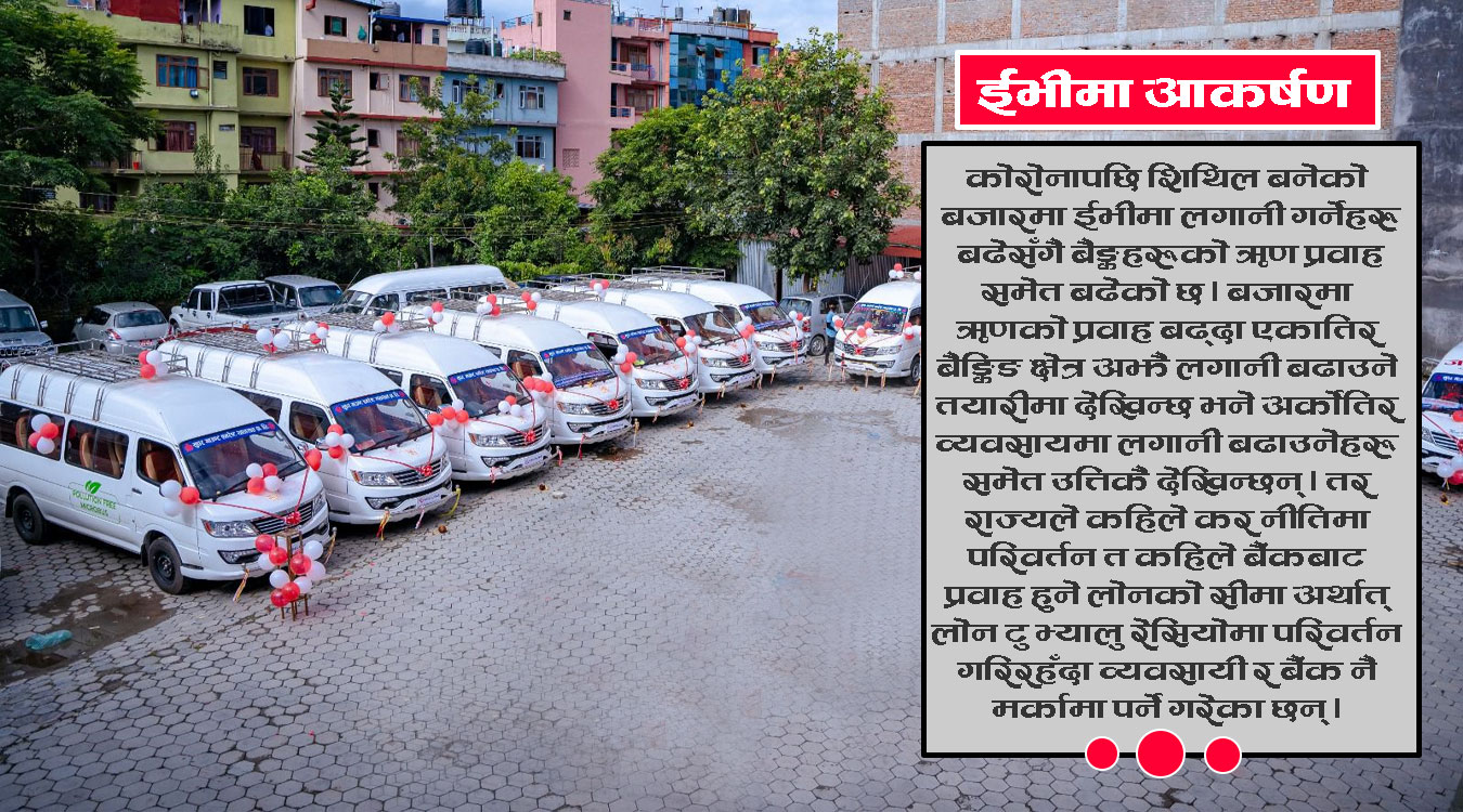 ईभीमा लगानी : व्यवसायी भन्छन्, ‘बैंकको किस्ता तिर्न कुनै समस्या छैन’