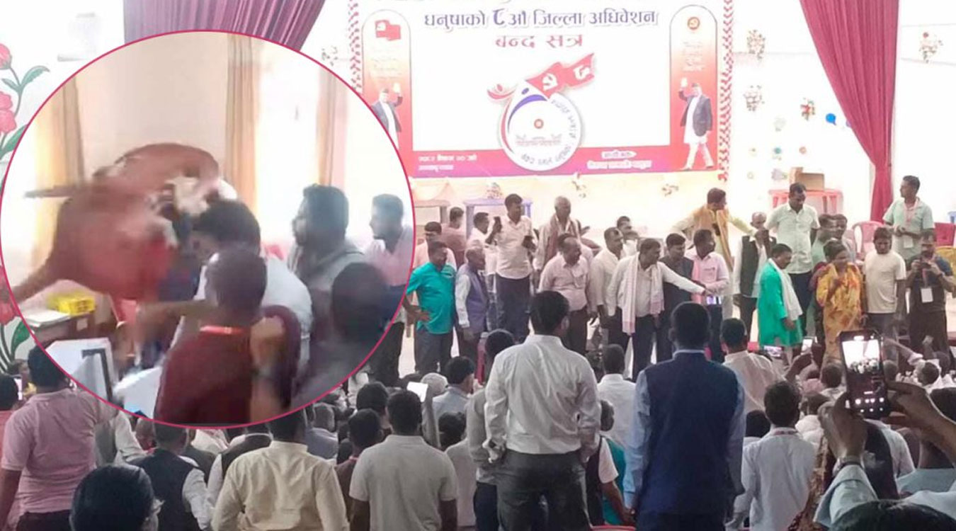एमाले धनुषा अधिवेशनमा कुर्सी हानाहान