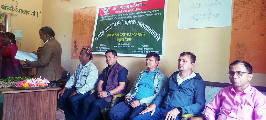 प्रगति आइपिएमको १८ हप्ते कृषक पाठशालाको कार्यक्रम सप्पन्न