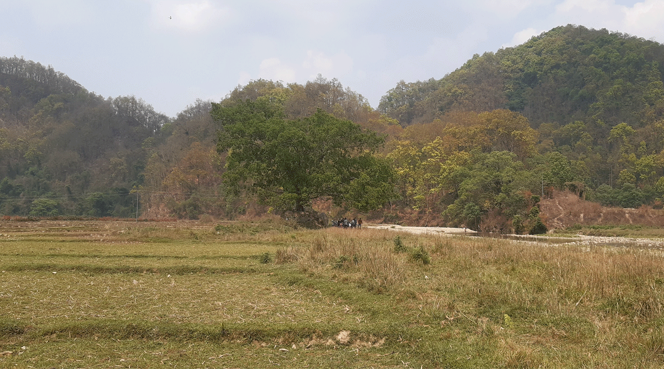सुरौदी जलाधार क्षेत्रमा पुल नहुँदा जोखिम, कटान नियन्त्रण नहुँदा बगर
