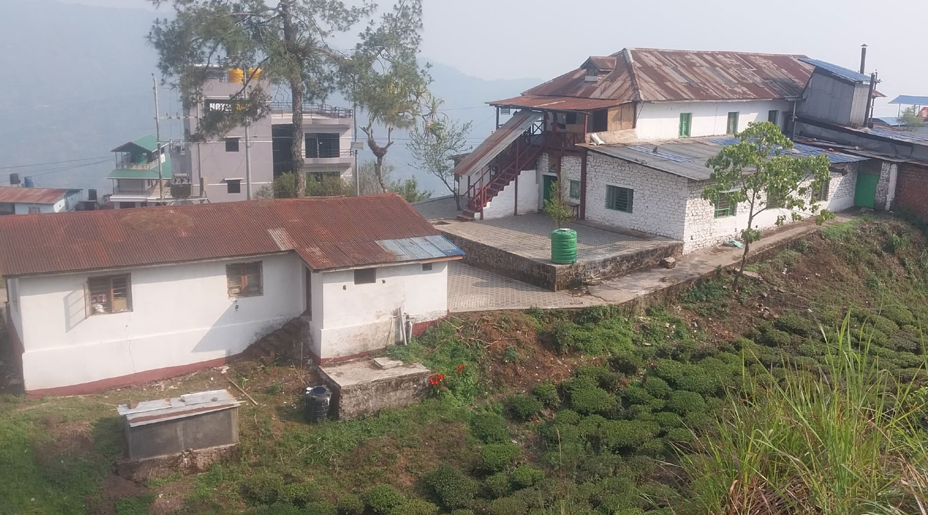 चिया तथा कृषिजन्य उत्पादनसँगै औद्योगिक जिल्लातर्फ अघि बढ्दै इलाम