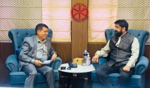 नेपाल र दक्षिण अफ्रिकाले सेवा क्षेत्रमा सहकार्य गर्ने