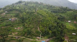 भोजपुरमा ‘जाल्पादेवी गुराँस पदमार्ग’ निर्माण
