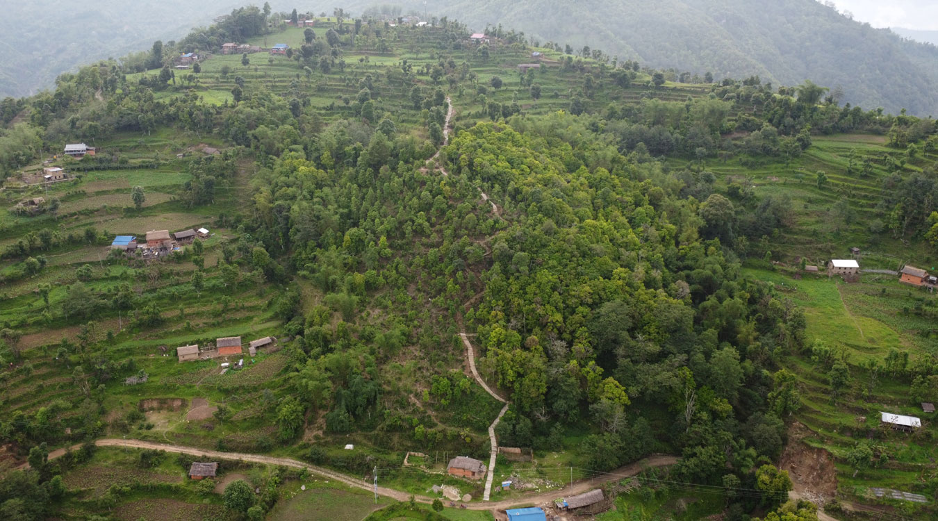 भोजपुरमा ‘जाल्पादेवी गुराँस पदमार्ग’ निर्माण