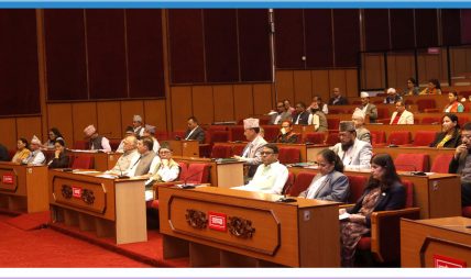 राष्ट्रियसभामा दुई प्रतिवेदन पेस