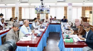 सार्वजनिक लेखा समितिको वार्षिक प्रतिवेदन प्रतिनिधिसभामा पेस