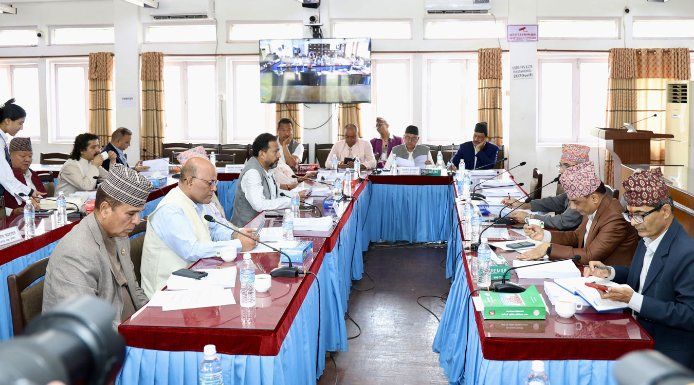 सार्वजनिक लेखा समितिको वार्षिक प्रतिवेदन प्रतिनिधिसभामा पेस