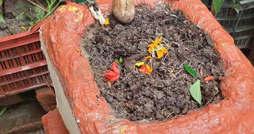 आज ज्येष्ठ शुक्ल एकादशीः घरका मठमा तुलसीको दल राखिँदै