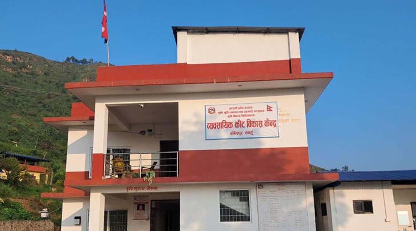 कार्यक्षेत्र ११ जिल्ला, कर्मचारी पाँच !