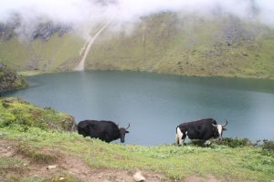 मौसमअनुसार परिवर्तन हुने ताप्लेजुङको ‘छ्यो थाङ्गी छ्यो पोखरी’