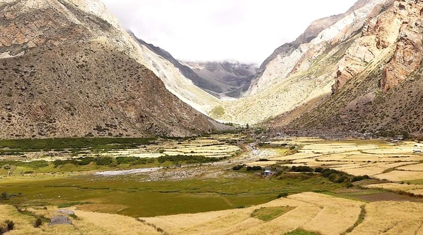 नाम्खाको लिमीमा खेतीयोग्य जमिन बाँझिने क्रम बढ्दै