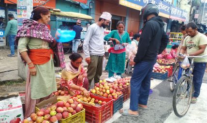 उपभोक्ताको रुचिमा कर्णालीको स्याउ