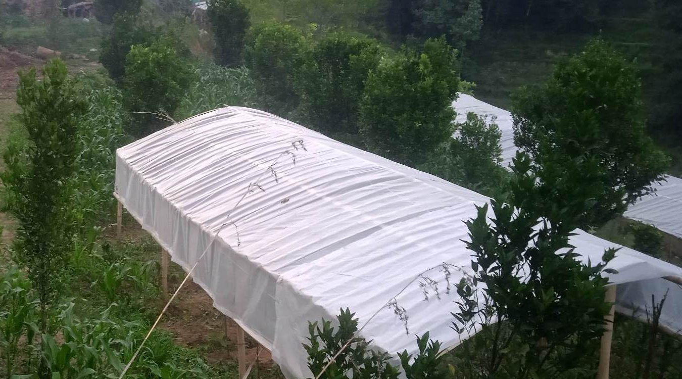कृषिमा कम भविष्य देख्नेका लागि….