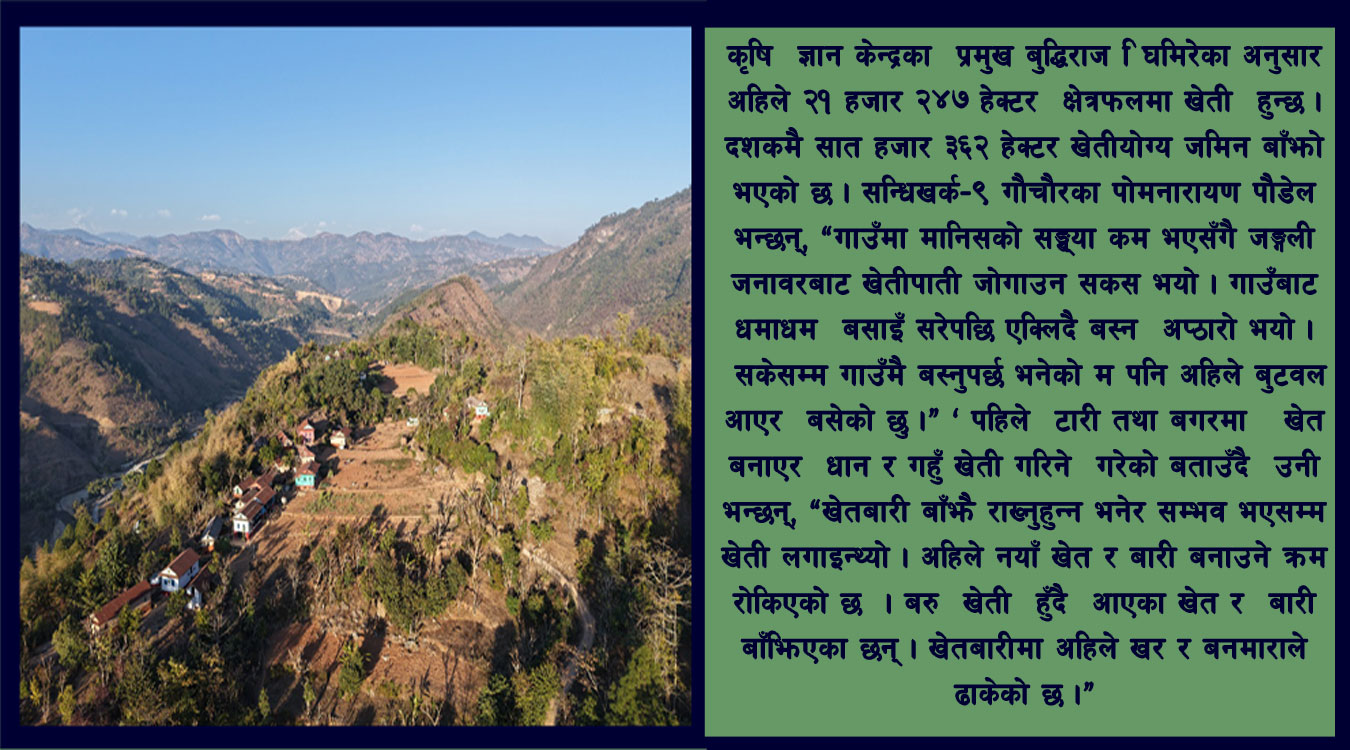 बसाइँसराई : बाँझिदै खेतीयोग्य जमिन, लगाएको खेतीपाती जोगाउनै सकस